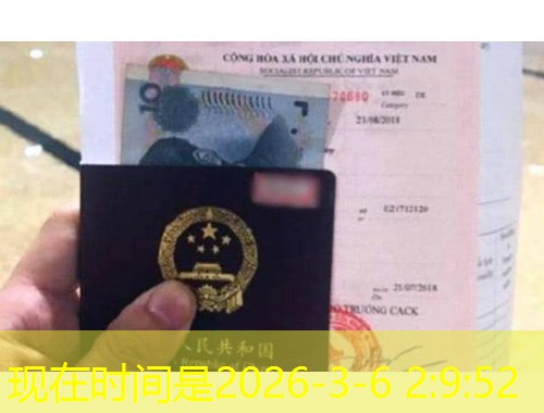 北海移民中介：把“出海”焦虑变成一张登机牌